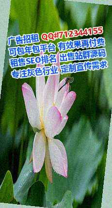 西藏代生电力工作室